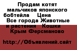 Продам котят мальчиков японского бобтейла. › Цена ­ 30 000 - Все города Животные и растения » Кошки   . Крым,Ферсманово